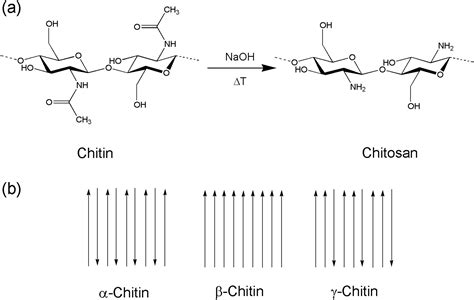 Current State Of Chitin Purification And Chitosan Production From Insects Hahn 2020