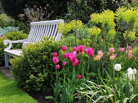 In my northern garden, crops that take over 100 days to mature or. 8 tips for growing the best tulips - Saga