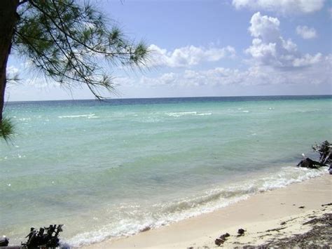 Best things to do & see in gold coast. Gold Rock Beach (Lucayan National Park) - 2021 All You Need to Know BEFORE You Go (with Photos ...