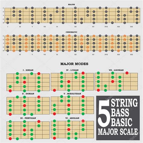 Bass Major Scale Patterns