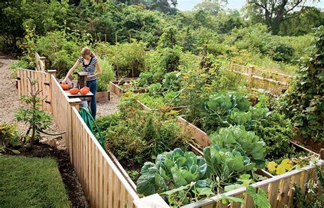 The Benefits Of Raised Bed Gardening Old House Online