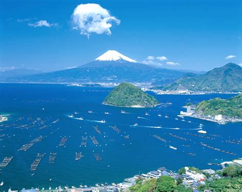 The Calm Hills Of Shizuoka A Place Of Magnificent Japanese History