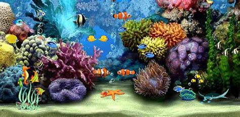 Aquarium Wallpaper For Windows 10 Wallpapersafari