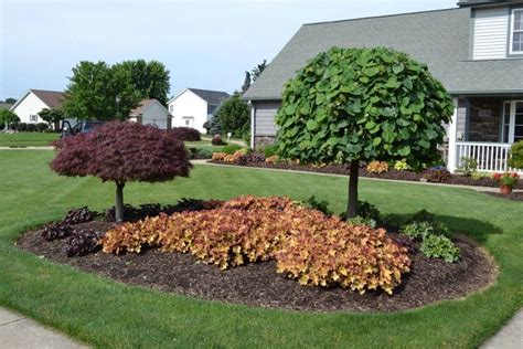 Ornamental Dwarf Trees For Landscaping — Randolph Indoor And Outdoor Design
