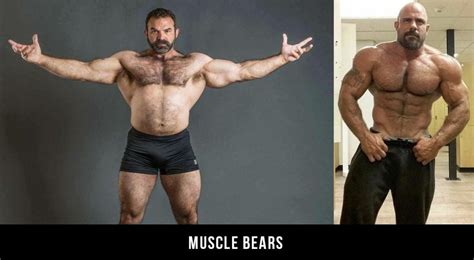 What Is A Gay Bear The Types And Looks Of Popular Gay Bears