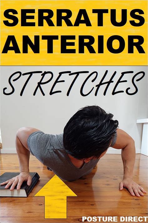 Serratus Anterior Stretch Back Cable Workout Ankle Exercises Back