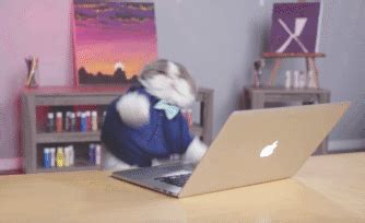 The dancing cat gif is an animated image of a cat dancing, which has been used on discord and in youtube videos. GIFs Typing Cats. Funny Pussycats Using Keyboard (25 pieces)