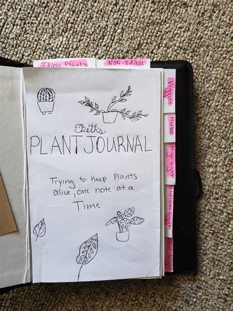 Plant Journaling What Is It And How To Do It In 2023 Plant Journal