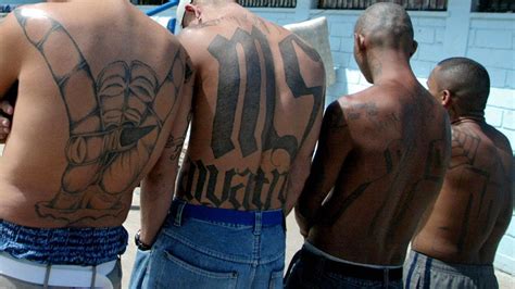 Disrupt And Destroy Ms 13 Doj Announces First Ever Terrorism Charges In Nationwide Gang