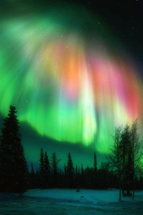 Aurora Borealis Was Seen In Fairbanks Alaska Polar Night Natural