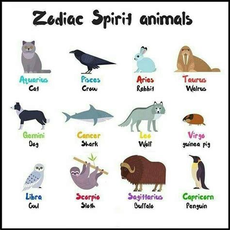 Zodiac Spirit Animal Zodiac Signs Animals Zodiac Sign Traits Zodiac