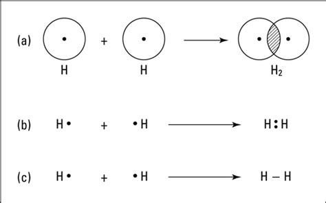 Covalent Bonds A Hydrogen Example Dummies