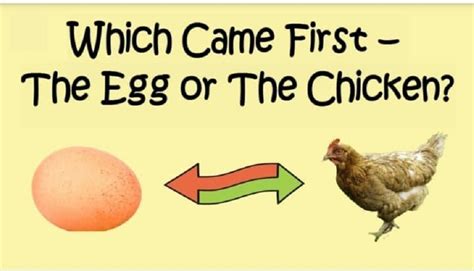 What Came First The Chicken Or The Egg Poultry Feed Formulation