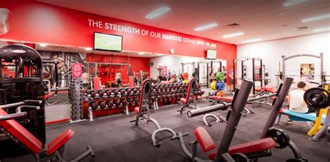 5 Best Gyms In Gold Coast Top Rated Fitness Gyms