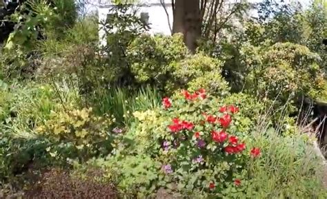 Aeolia Kilsyth Gardens Virtual Tour