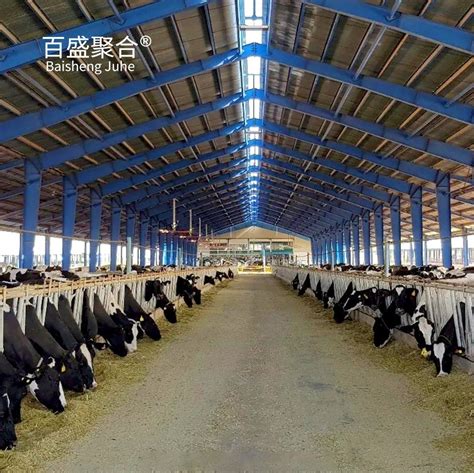 Prefabricated Metal Structural Steel Building Sheep Goat Cattle Cow