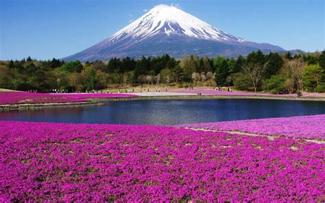 Mt Fuji Wallpaper 65 Images