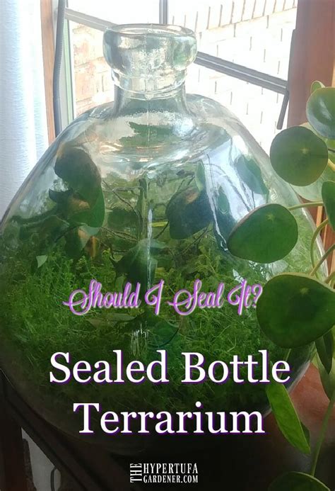 If you feel like we should add more information or we forget/mistake, please let us know via commenting below, and thanks! Go For The Sealed Bottle Terrarium? in 2020 | Bottle ...
