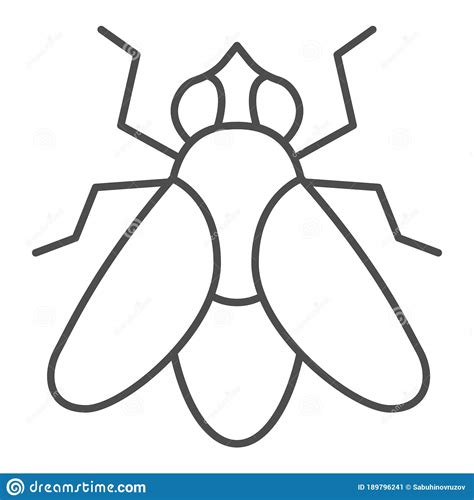 Fly Thin Line Icon Insects Concept Fly Insect Sign On White