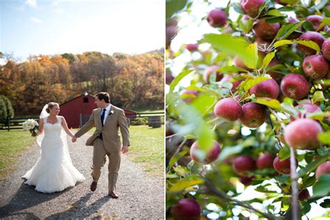 Apple Orchard Wedding Ideas