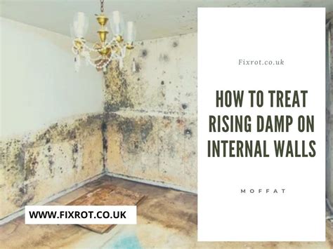 How To Treat Rising Damp On Internal Walls We Provide Timb Flickr