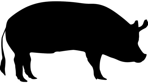 Varkensvlees Recepten Informatie And Voedingswaarden • Vleesnl