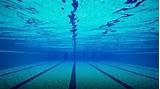Pictures of Swimming Pool Water