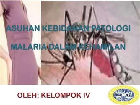 Ppt Asuhan Kebidanan Patologi Malaria Dalam Kehamilan Powerpoint