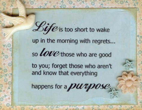 Wiki with the best quotes, claims gossip, chatter and babble. Purpose Of Life Funny Quotes. QuotesGram