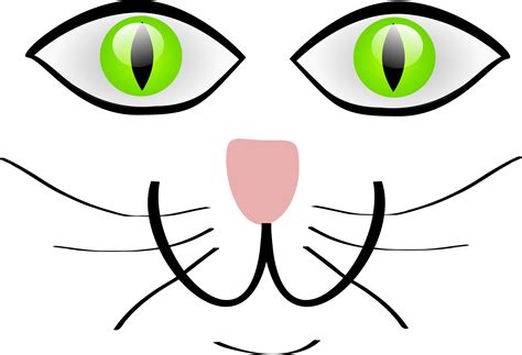 Clipart Animal Eyes And Nose 20 Free Cliparts Download Images On