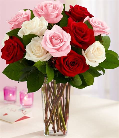 12 Sweet Expression Roses Bunch Valentine