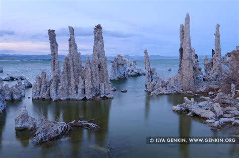 Evening At Lake Mono Photos Mono Lake Tufa State Reserve Eastern