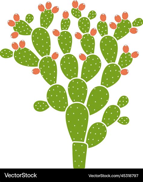 Prickly Pear Cactus Royalty Free Vector Image Vectorstock