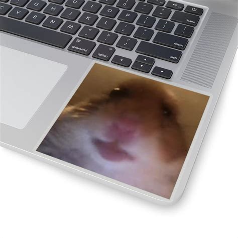 Funny Hamster Selfie Meme Kiss Cut Stickers Etsy