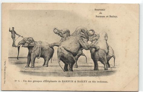 Circus Barnum Bailey Complete Series Of Pieces Catawiki
