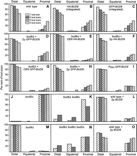 Bud8p And Bud9p Proteins That May Mark The Sites For Bipolar Budding