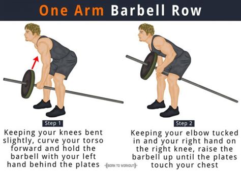 Reverse Grip Barbell Row How To Do Benefits Muscles Worked