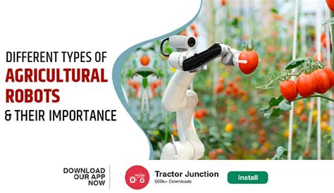 Different Types Of Agricultural Robots And Their Importance