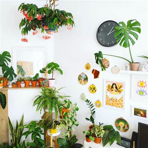 55 Marvelous Indoor Plants Design Ideas To Freshen Your Home Plant