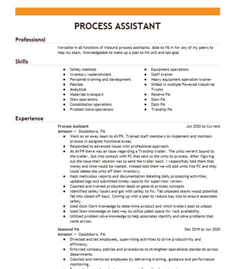 Process Assistant Resume Example