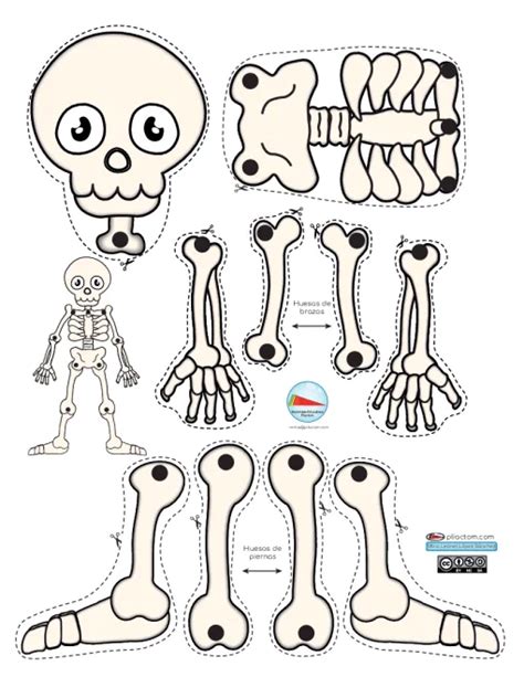 Esqueleto Humano Para Recortar Y Armar Imagui