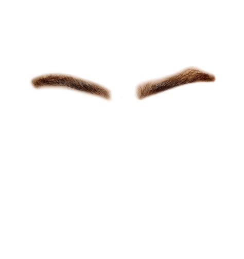 Collection Of Png Eyebrows Pluspng