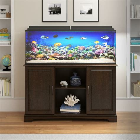 Building a 75 gallon dual aquarium rack step by step. Archie & Oscar Deirdre 75 Gallon Aquarium Stand & Reviews | Wayfair