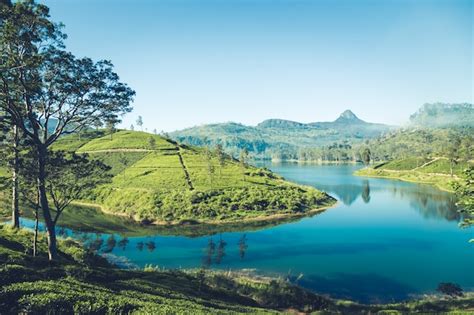 Premium Photo Beautiful Landscape Of Sri Lanka River Mountains And
