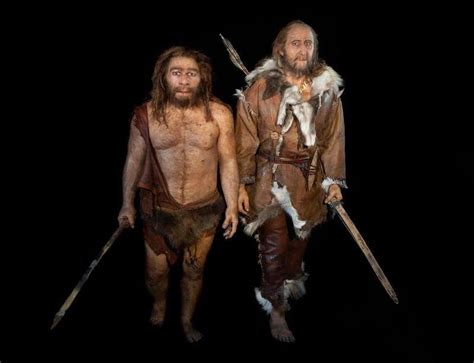 Neanderthals And Humans Lived Equally ‘risky Stressful Lives
