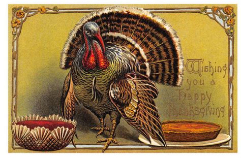 The Thanksgiving Myth Popularresistanceorg