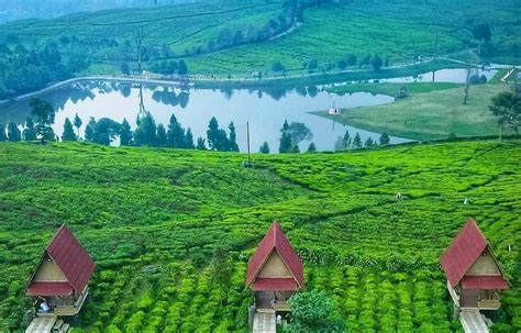 5 aktivitas seru di wisata telaga saat bogor, bisa naik perahu Telaga Saat, Wisata Alam Memukau Sedang Hits di Puncak ...