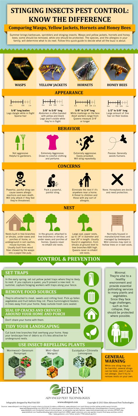 Stinging Insects Pest Control Know The Difference Infographic
