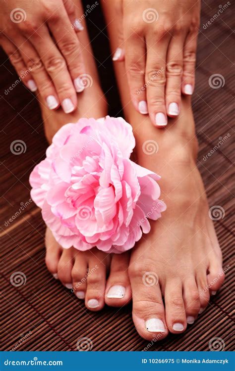 Beautiful Feet And Hands Royalty Free Stock Photo Image 10266975