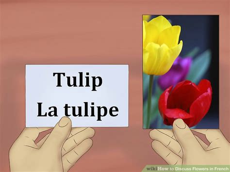 How to Discuss Flowers in French: 8 Steps (with Pictures)